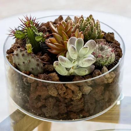 Casa Isaura-bajamar *