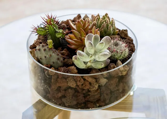 Casa Isaura-bajamar *